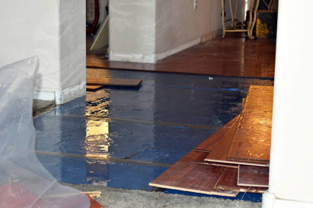Professional Burst Pipe Cleanup technician working in Eudora, KS